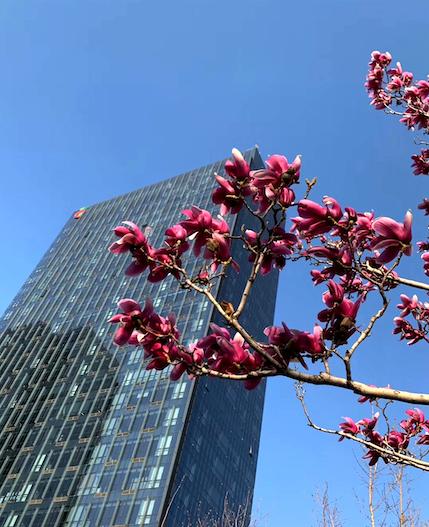 国家电投疫情当前行胜于言,国家电投疫情防控宣传视频