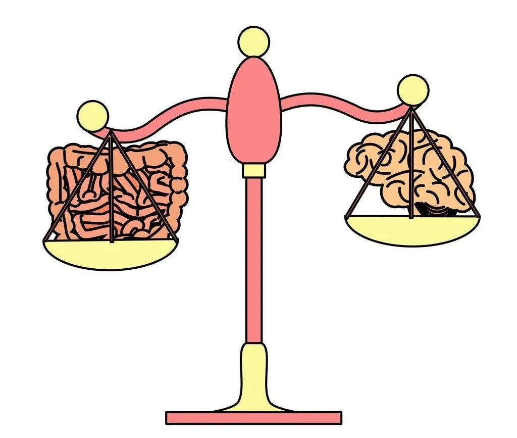 改善肠道功能的抗抑郁药,抗抑郁药可以治疗双相情感障碍