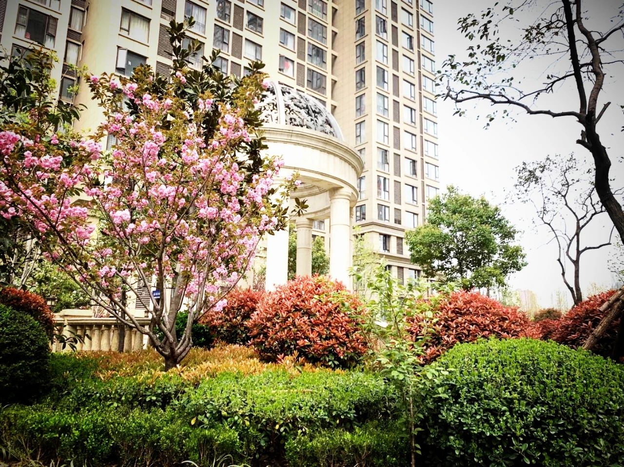 疫情之后地产新江湖，谁是平顶山的风清扬？