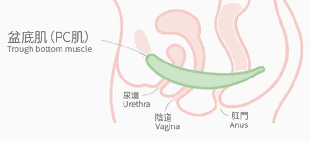 当你不想减肥时看看这些女明星,减肥坚持不下去时看看这些女明星
