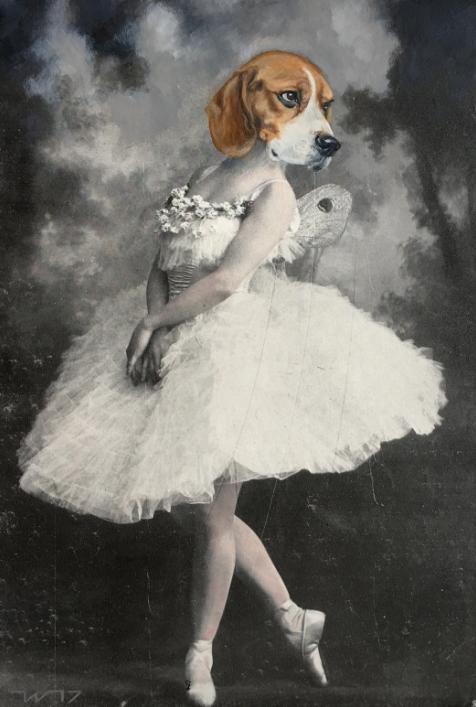 为什么逛动物园是正经事？因为它不仅提供了浪漫遐想，更映射着我们的处境