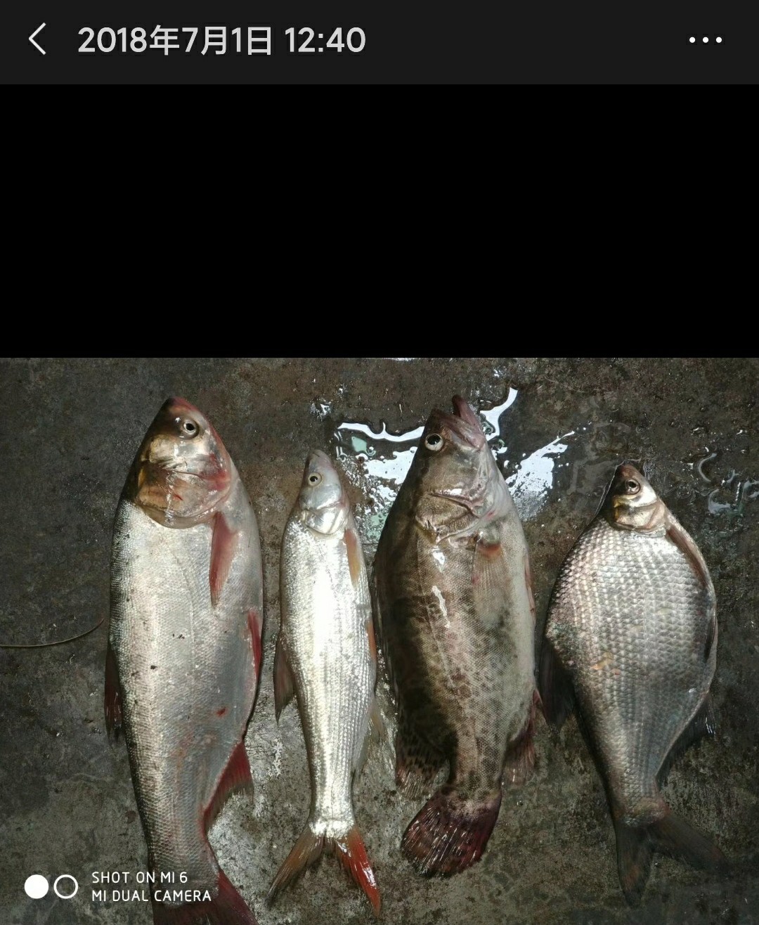 我与钓鱼之家的故事