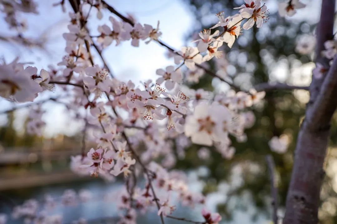 索尼fe20mmf1.8g超广角镜头,索尼fe35mmf1.4gm镜头测评