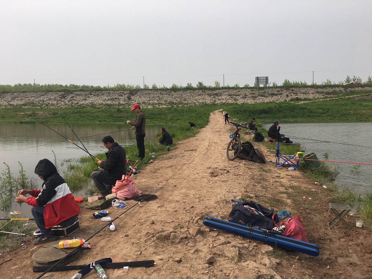 锵锵三人行余秀华读诗,锵锵三人行马未都邓亚萍