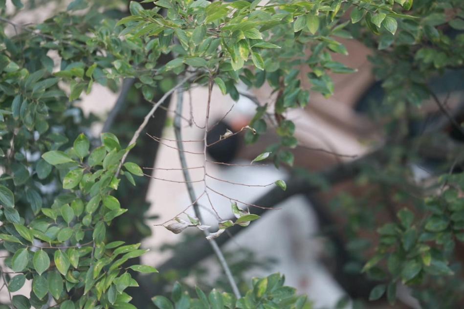 做站姐需要学习什么,做站姐颜值有要求吗