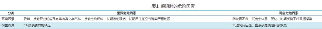 慢性阻塞性肺疾病诊治指南2021,老年慢性阻塞性肺疾病处方