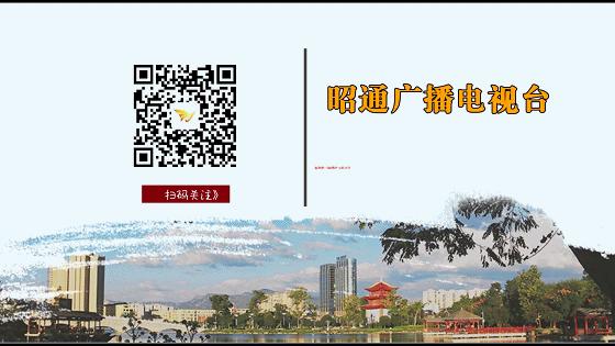 过敏性疾病义诊,过敏季义诊