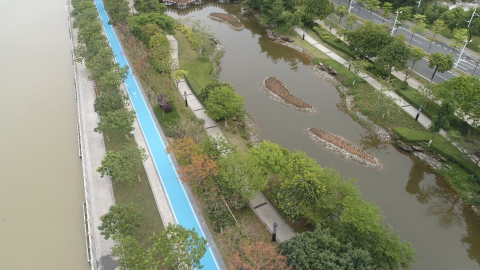 广州国际生物岛,广州国际生物岛最新消息