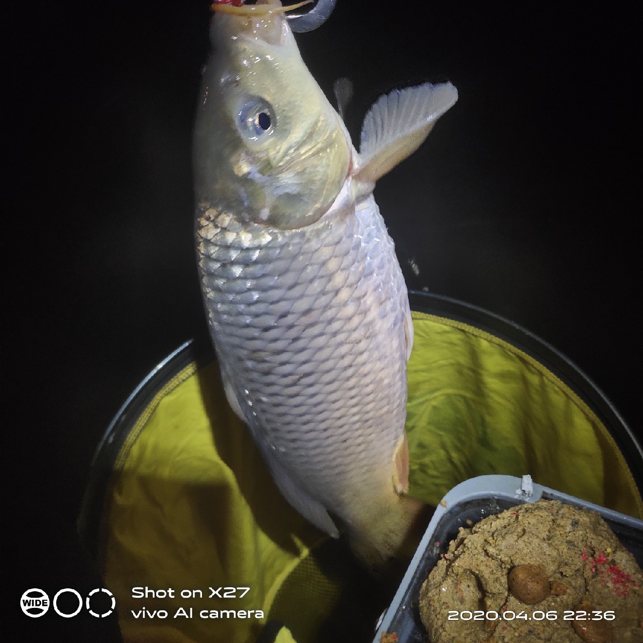 秋季野钓有鱼无口,鲫鲤兼钓技巧