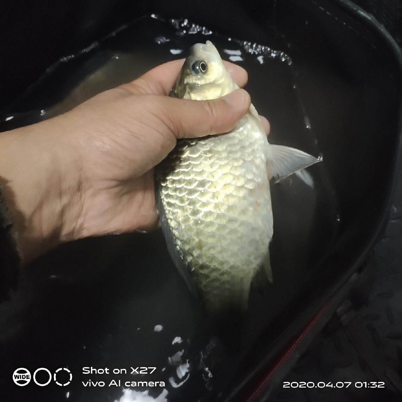 秋季野钓有鱼无口,鲫鲤兼钓技巧