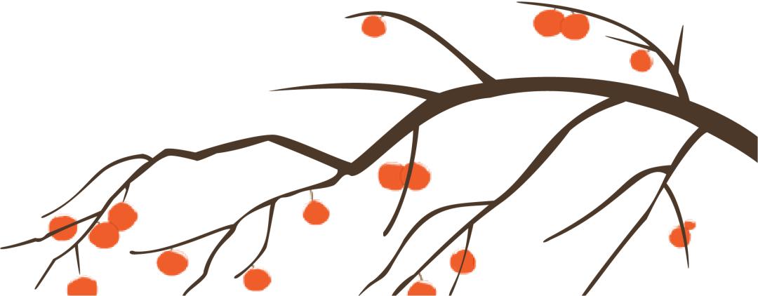 花好月圆惠民,国泰民安迎国庆花好月圆