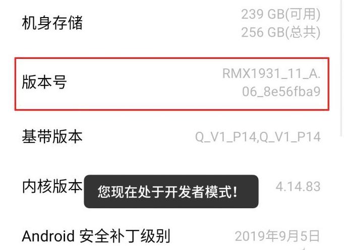 现在手机开发者选项怎么开启,手机设置的禁区神秘的开发者选项
