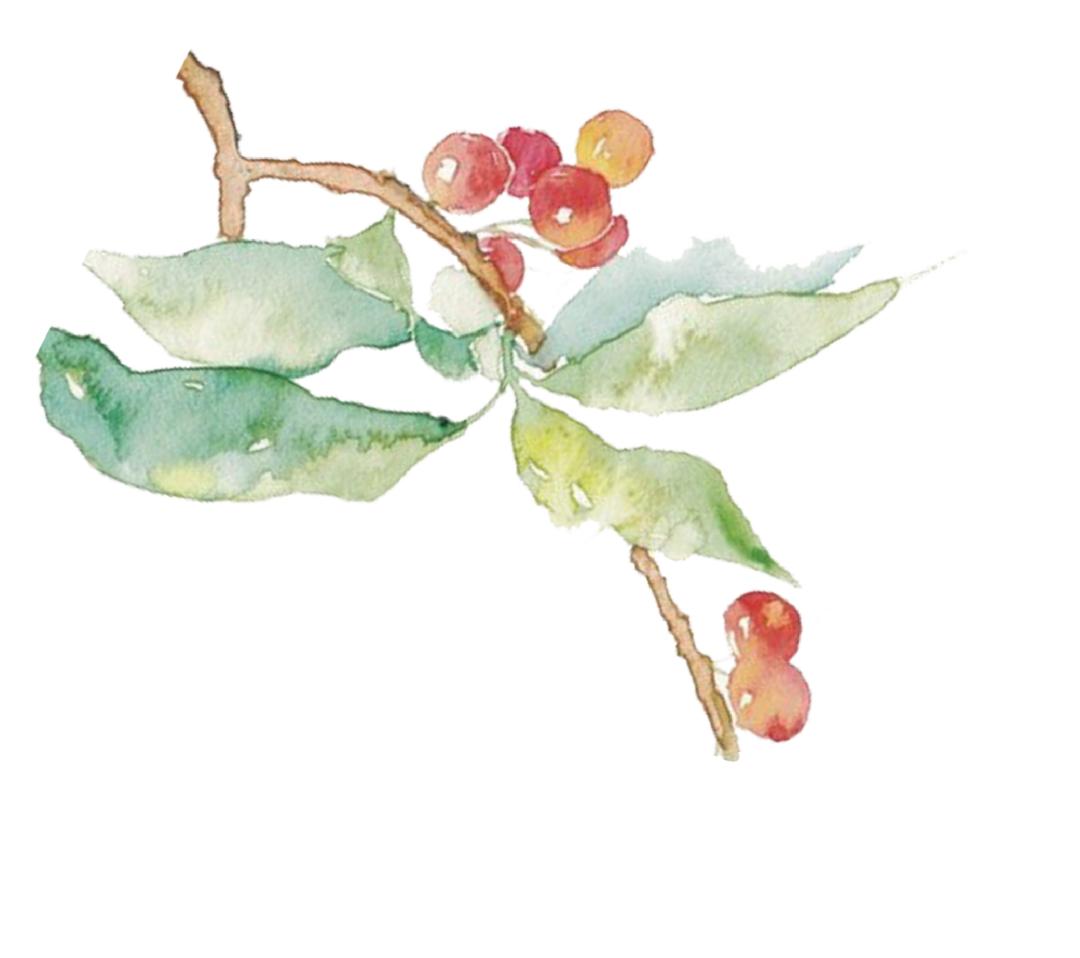 南通机关招聘驾驶员,南通公交驾驶员最新招聘