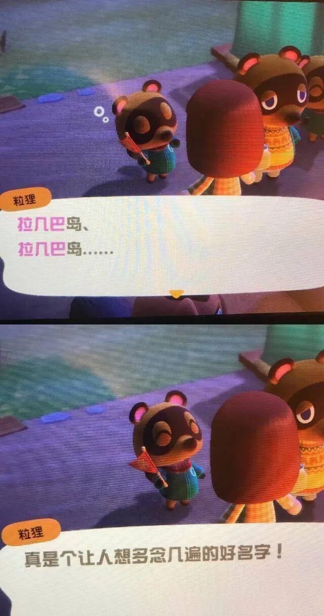 玩动森挣人民币,动森几百万怎么赚