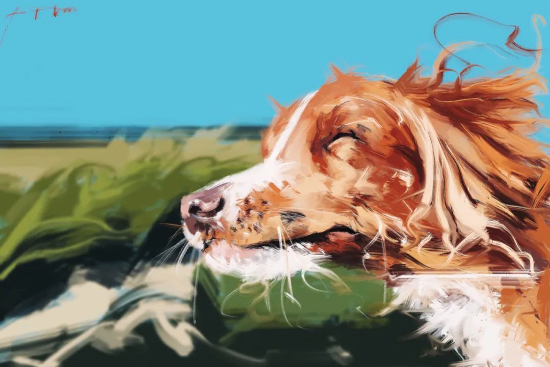 「追色逐影」PS板绘中的色彩流溢10节课报名啦，画出心灵角落上的感动和共鸣