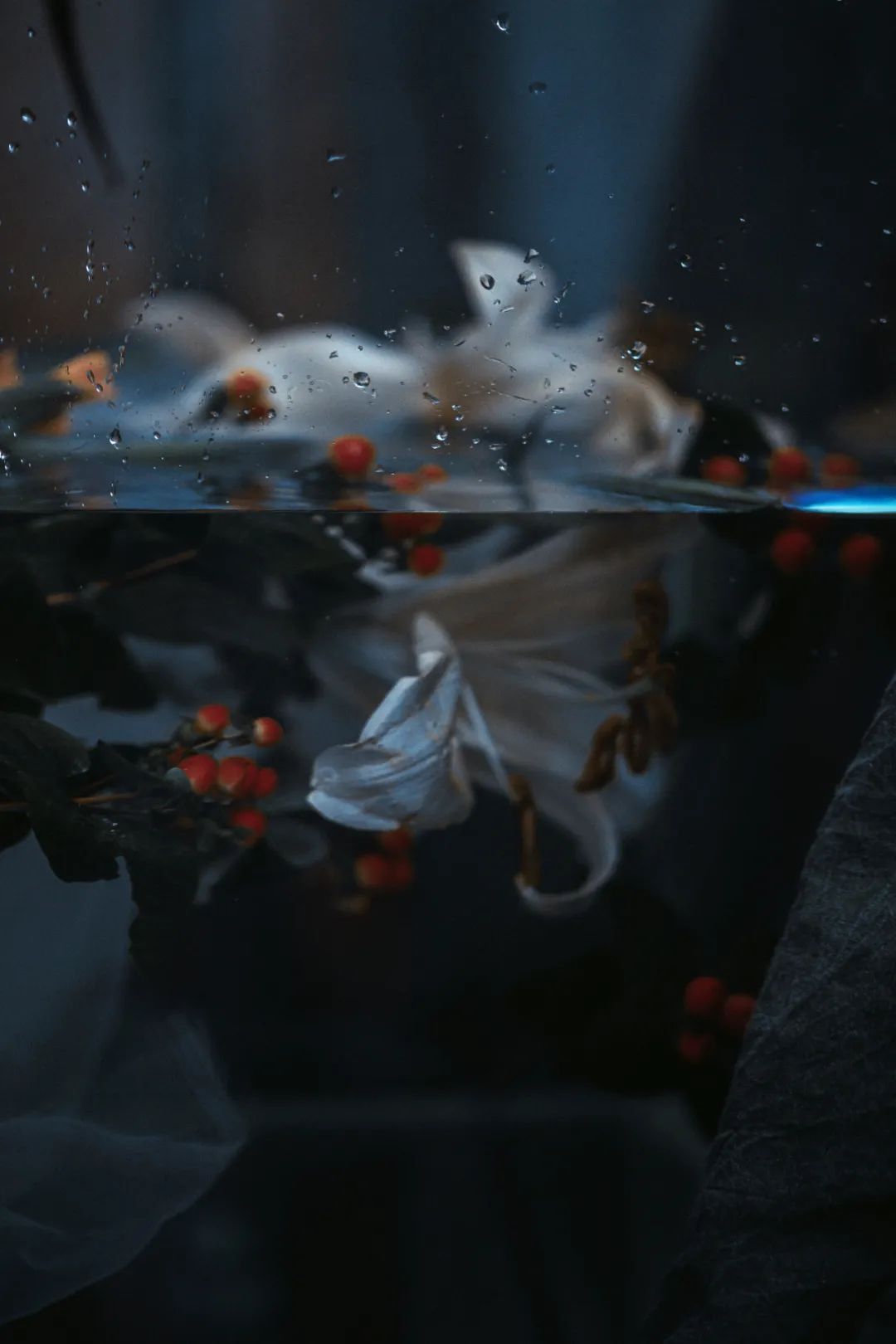 摄影师拍摄小道具,摄影师拍摄道具视频