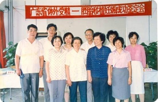 试管婴儿第一人,广东第一例试管婴儿