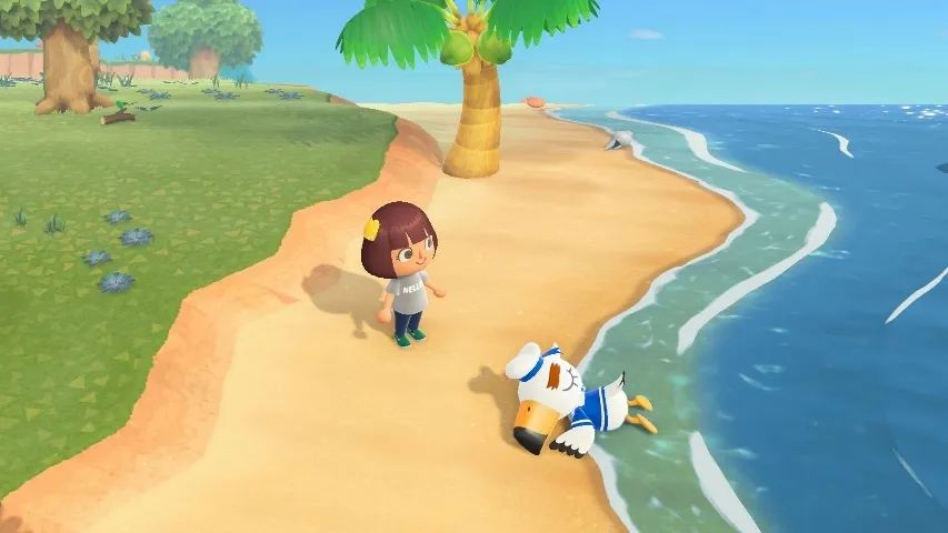 在哪可以看到动森,动森还有人吗