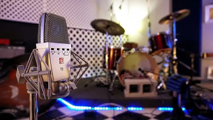 seelectronics小振膜,seelectronics是什么麦克风