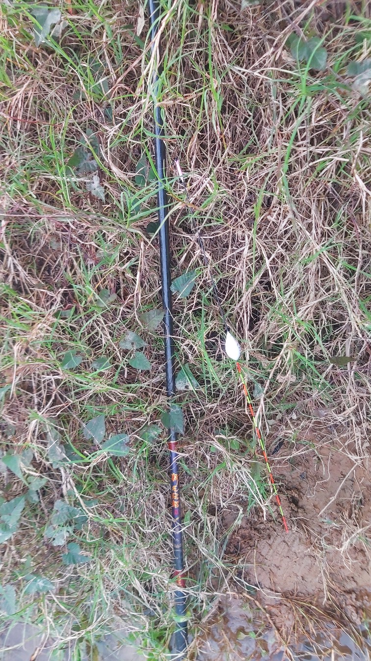 邕江巴西军团覆灭小记,钓友全军出击