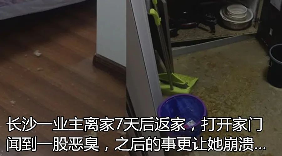 湖南长沙男子赌博输76万,长沙男子赌博输300万