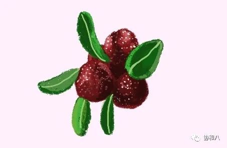 复习这些名解时总觉得怪饿的|协和八·脑洞大开