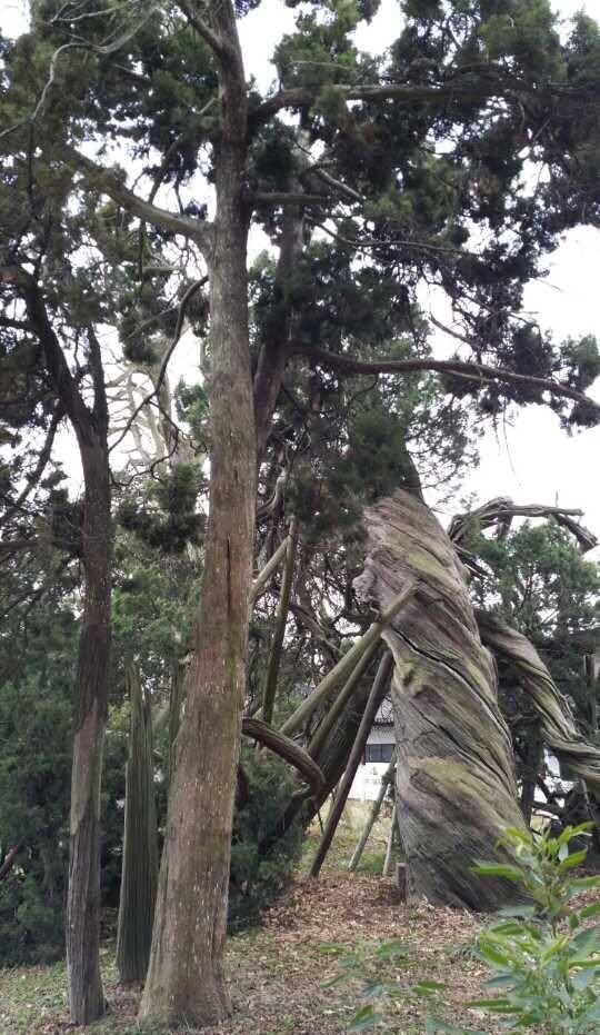 苏州名胜古庙,苏州三大古寺庙