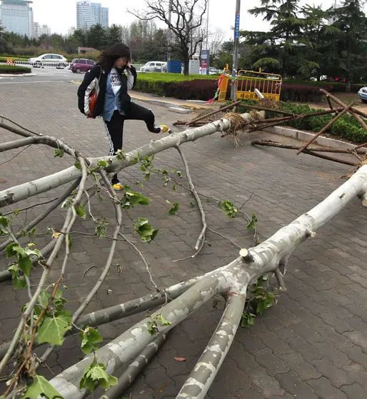 为什么会出现狂风骤雨,为什么会刮狂风