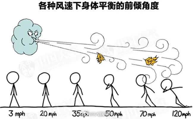 为什么会出现狂风骤雨,为什么会刮狂风