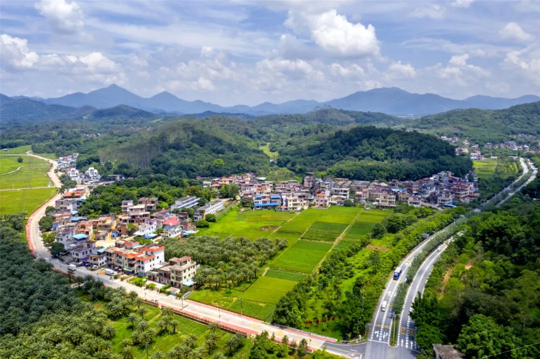 村集体经济股份合作社成功案例,首批农村集体经济组织股权