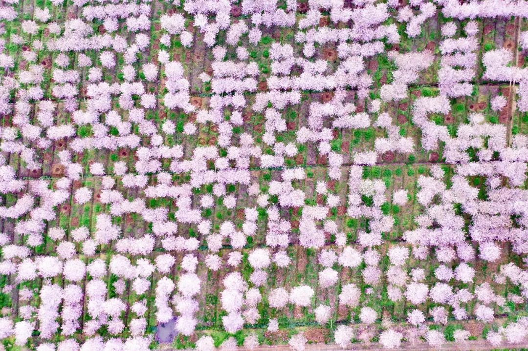 常州周末旅游景点推荐,常州最美乡村