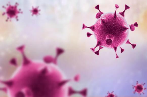 病毒溯源的原理是什么,病毒溯源有重大发现