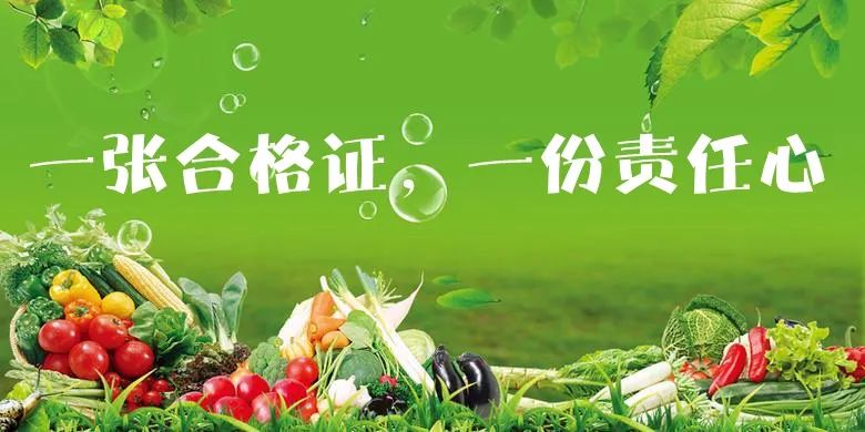 长治市新政策出台了吗,长治市发布的实施方案在哪找