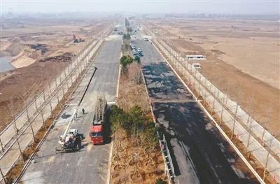 银杏景观大道,网红打卡地沈阳公园夜景