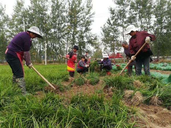 宿迁泗阳：“外号书记”的富民情怀