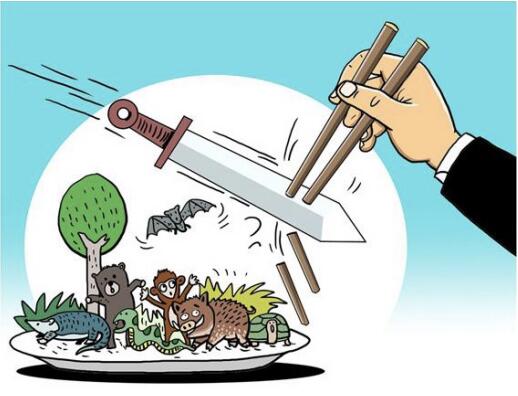 云南野生动物最新政策规定,云南野生动物保护最新情况