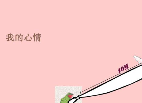 速看事关泉州出行,速看事关中小学新生入学