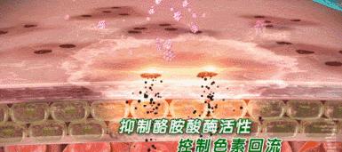 美白淡斑10天见效果,祛黄淡斑美白精华推荐