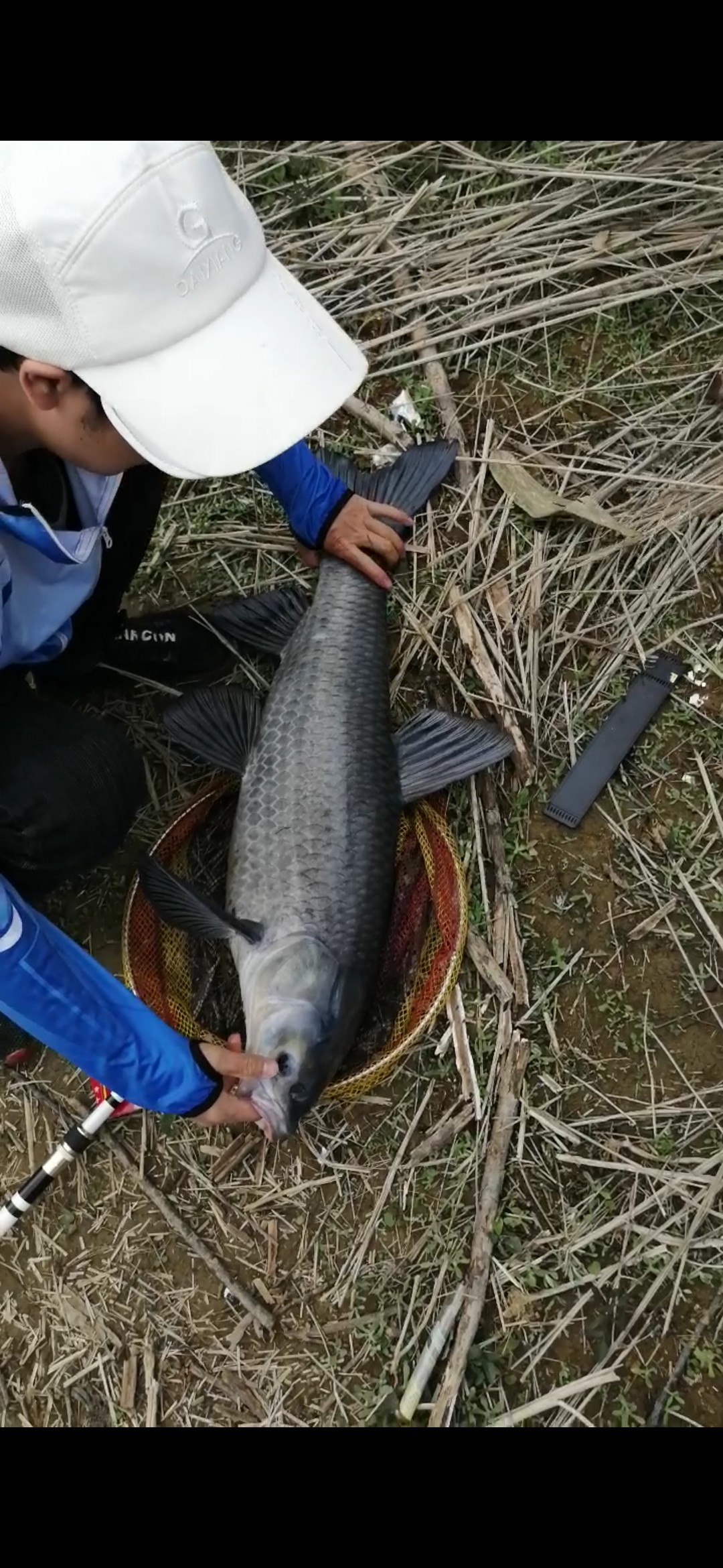 北方11-12月野钓策略,冬季野河野钓思路