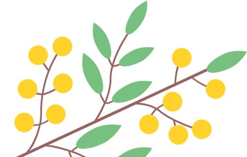 花漾秦淮|最是一年春好处，木香盛放醉秦淮