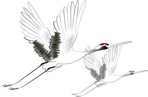 潮玩展昆明,潮玩云南