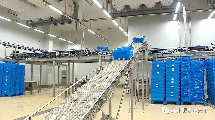 邳州工业产业发展,起步就要冲刺开局就要争先