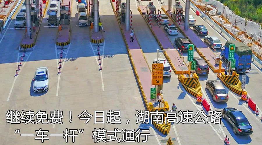 白蚁防治收费依据及标准长沙,长沙白蚁分飞期怎么防治