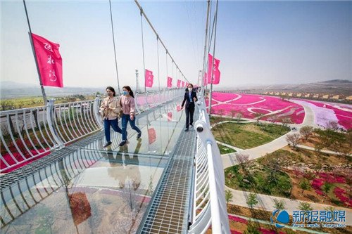 日照花仙子花海,畅游日照美景