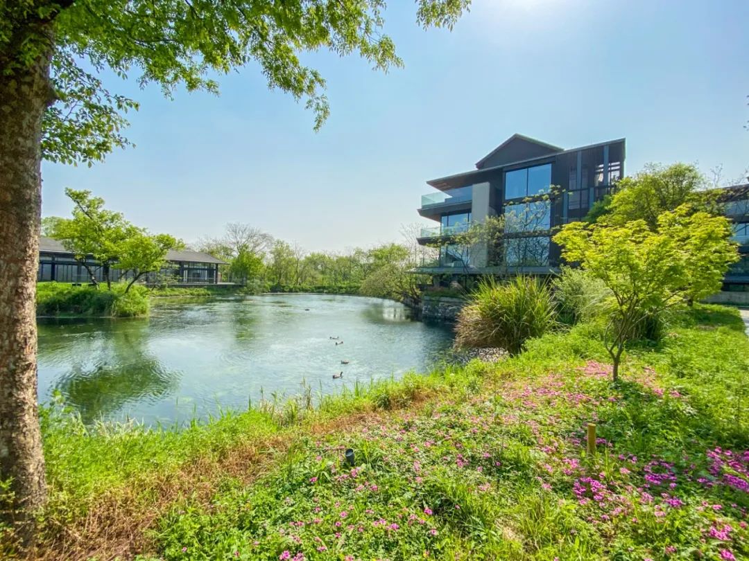 西溪度假酒店推荐,杭州木守西溪美宿