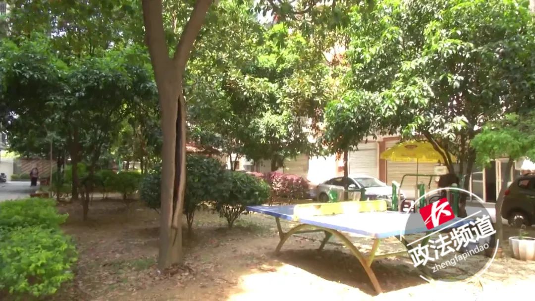 白蚁防治收费依据及标准长沙,长沙白蚁分飞期怎么防治