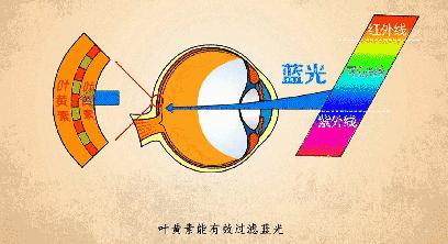 日本眼疲劳干涩护眼液,日本眼睛护眼神器