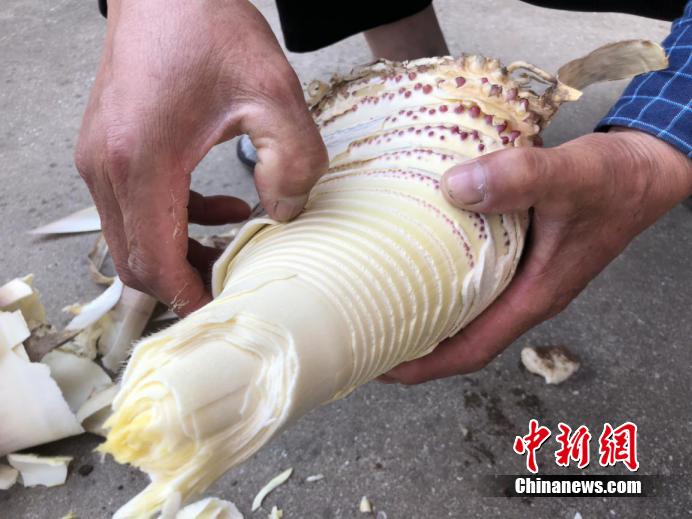 宁波人爱的爆款,宁波鲜鲜