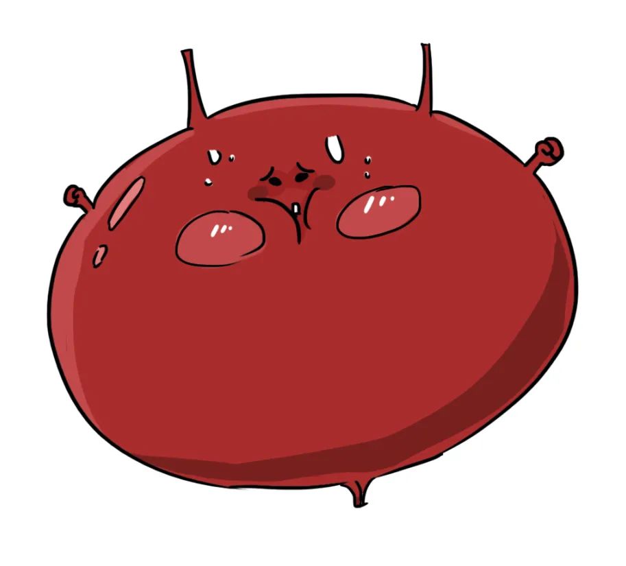 漫画科普：那些憋住的尿，最终都流向了哪里？