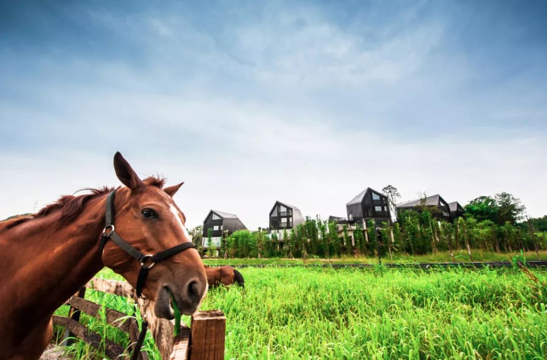 浮生御温泉度假村399团购,浮生御温泉酒店优惠券领取